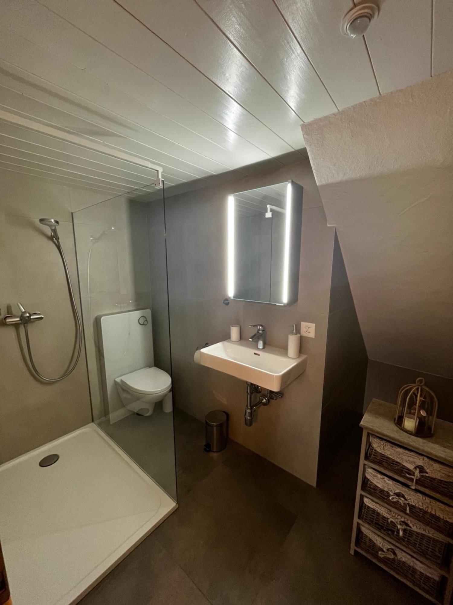 Raccard Renove Otel Orsières Dış mekan fotoğraf